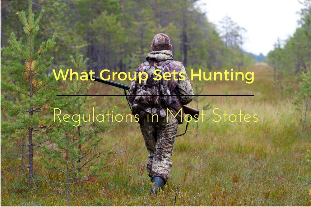 Hunting Beginners Guide And Checklis (A Complete Guide For Every One)