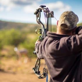 Bow Hunting For The Beginners