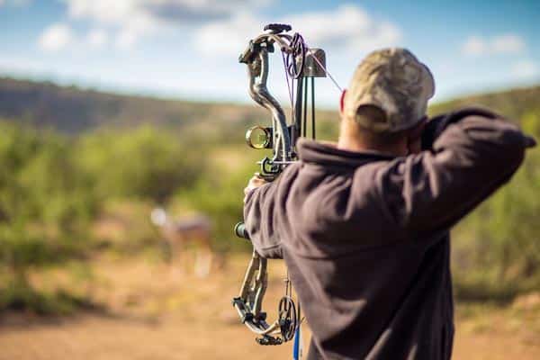 Bow Hunting For The Beginners