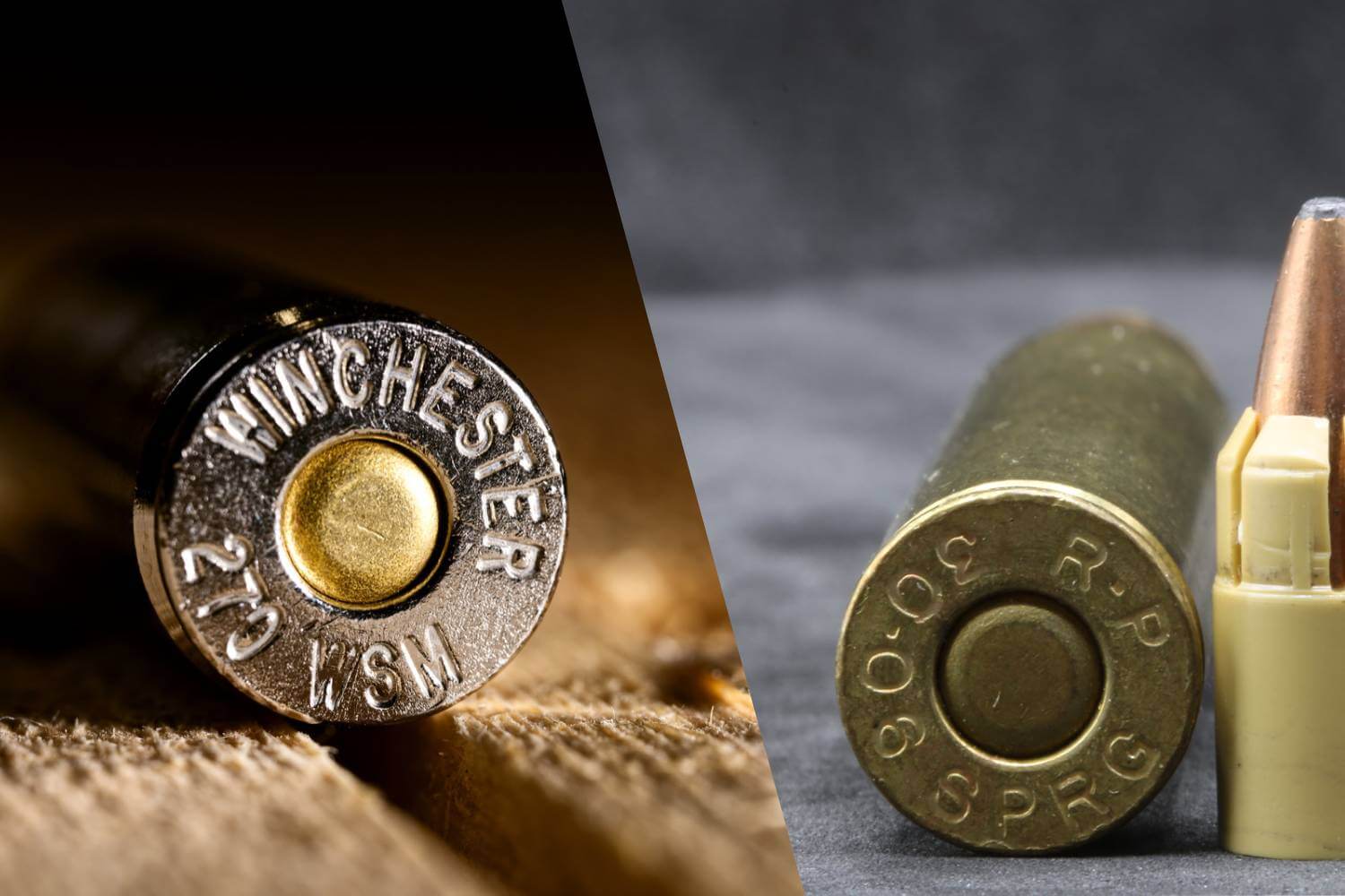 270 vs 30-06: Which One Should You Hunt With? Springfield vs Winchester